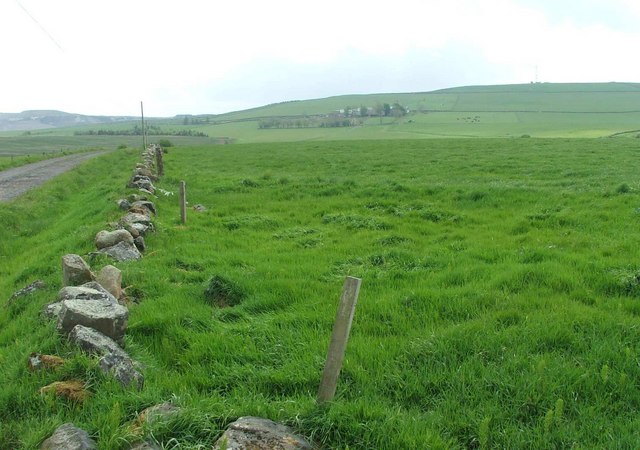 Graveyards and Gardens